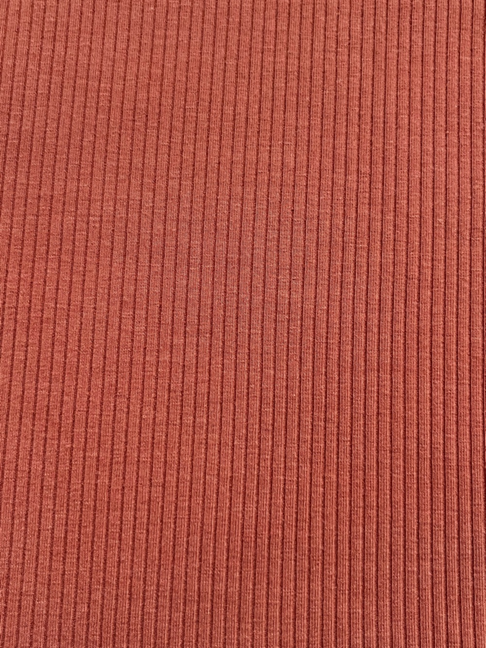 AE Ribbed Hey Baby Tee - Picture 4 of 6